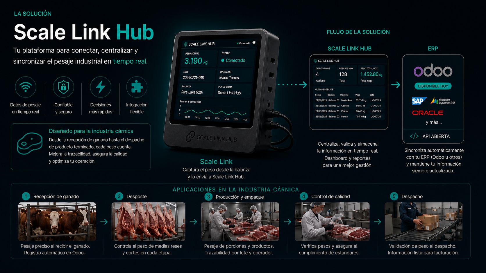 Scale Link Hub: Tecnología para centralizar el pesaje industrial y agropecuario